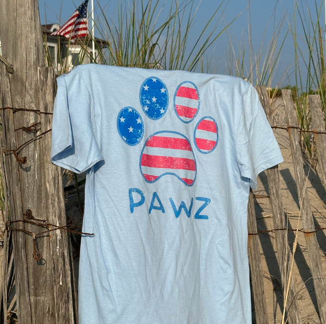 USA Flag (Adult Short Sleeve T-Shirt)